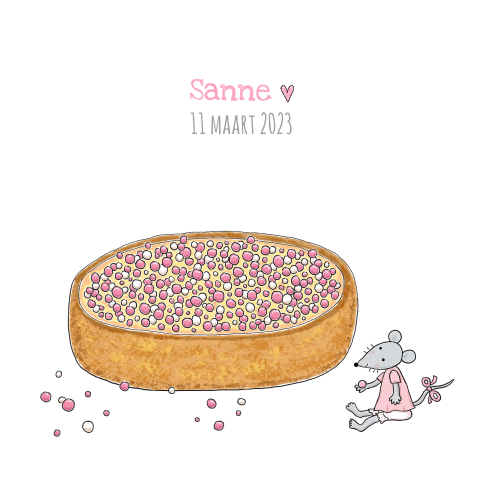 Geboortekaartje meisje beschuit met muisjes