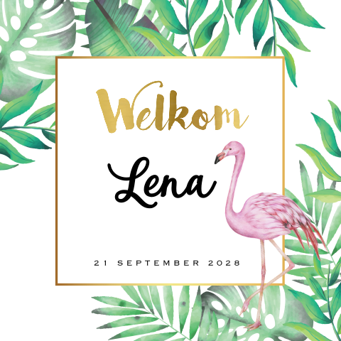 Lief geboortekaartje meisje flamingo