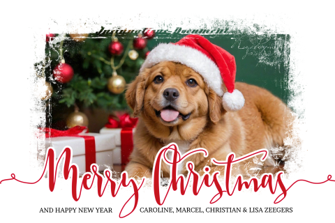 Moderne kerstkaart met familiefoto of huisdier en hippe typografie