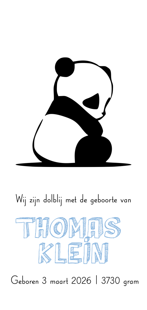 Modern langwerpig rustig jongens geboortekaartje met panda