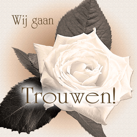Klassieke trouwkaart met grote witte roos