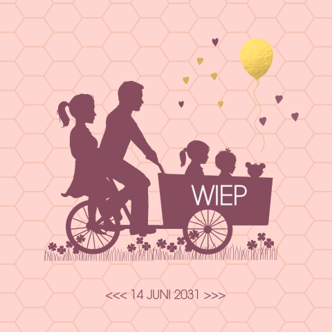 2e kindje geboortekaartje ouders met bakfiets en meisjes