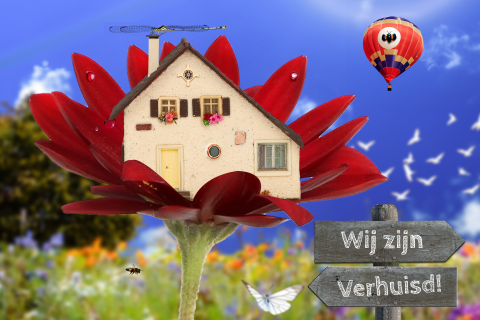 Verhuiskaart huisje bloempje beestje luchtballon