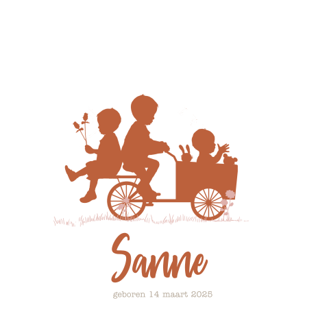 Geboortekaartje 2 broers met baby zusje op bakfiets
