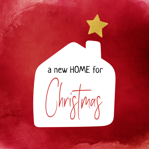 Kerst verhuiskaart Huis met Ster rood