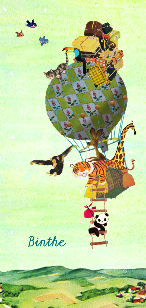 Langwerpige staande geboortekaart met luchtballon en dieren