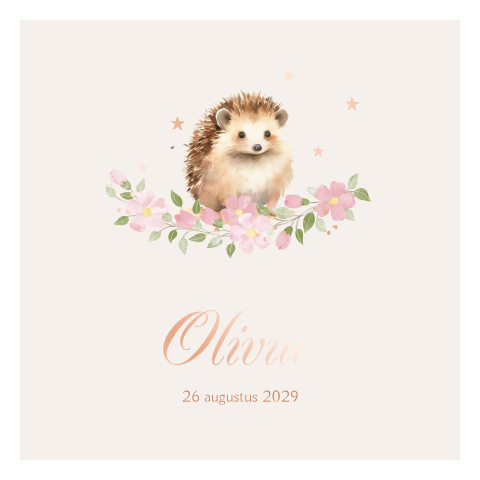 Lief getekend geboortekaartje meisje met egel