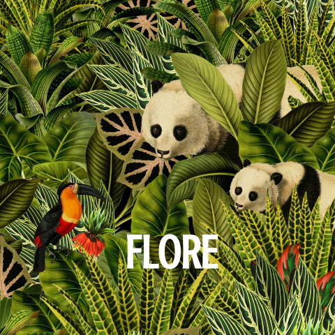 Jungle geboortekaartje met panda en toekan