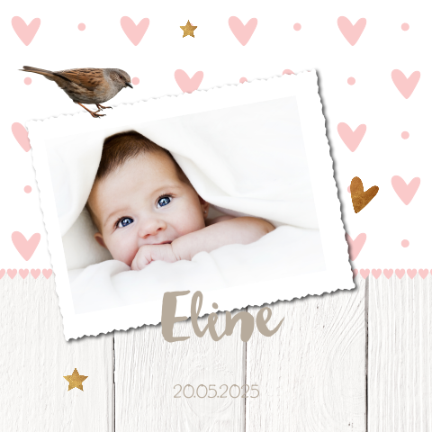 Geboortekaartje meisje in pastel tint met goudkleurige icons