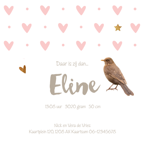 Kaart binnenkant