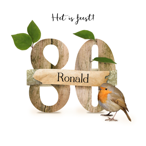 Uitnodiging 80e verjaardag met roodborstje
