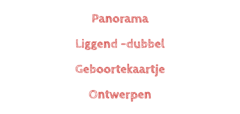 Langwerpig dubbel liggend geboortekaartje ontwerpen