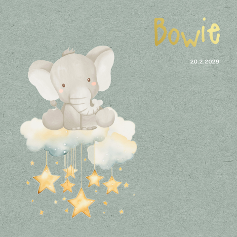 Lief neutraal geboortekaartje met olifant op wolkje