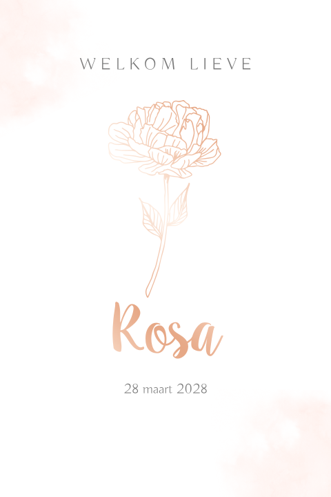 Geboortekaartje meisje geboortebloem juni de roos folie