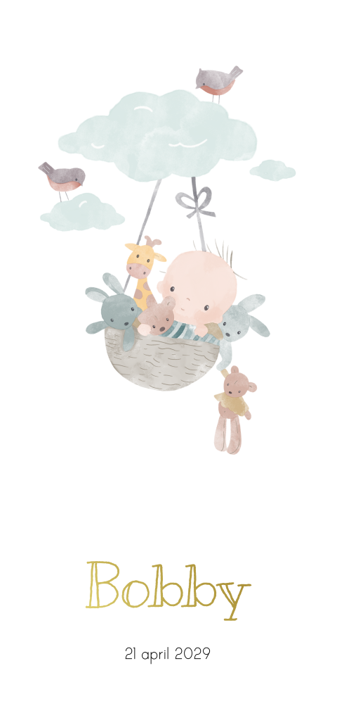 Unisex geboortekaartje met baby in een mandje in de lucht