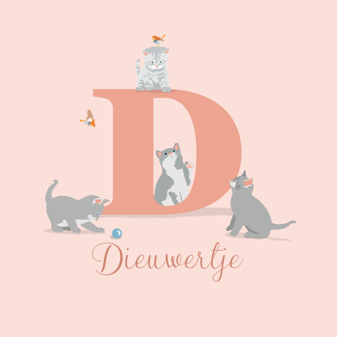 Geboortekaartje voor een meisje met poesje katjes