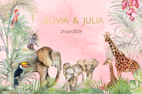Geboortekaartje voor een meisjes tweeling met jungle thema olifantjes