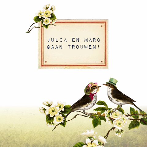 Trouwkaart nostalgisch met twee verliefde vogels op een bloesemtak
