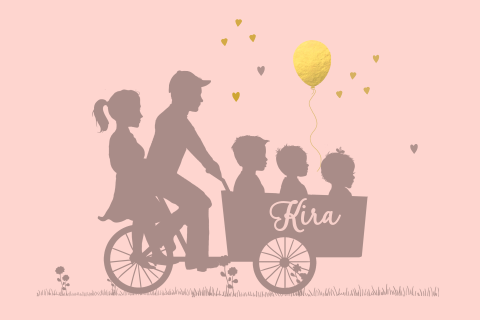 Geboortekaartje meisje bakfiets en twee broertjes en baby