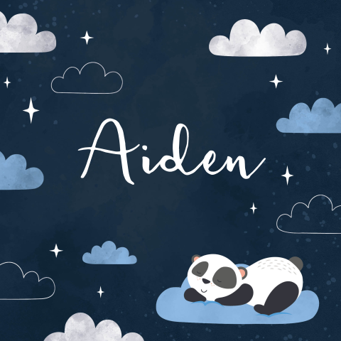 Geboortekaartje wolken en sterren met panda blauw