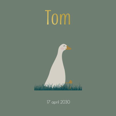 Geboortekaartje jongen met lieve gans in het gras