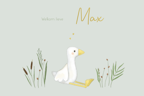 Geboortekaartje jongen gansje met riet