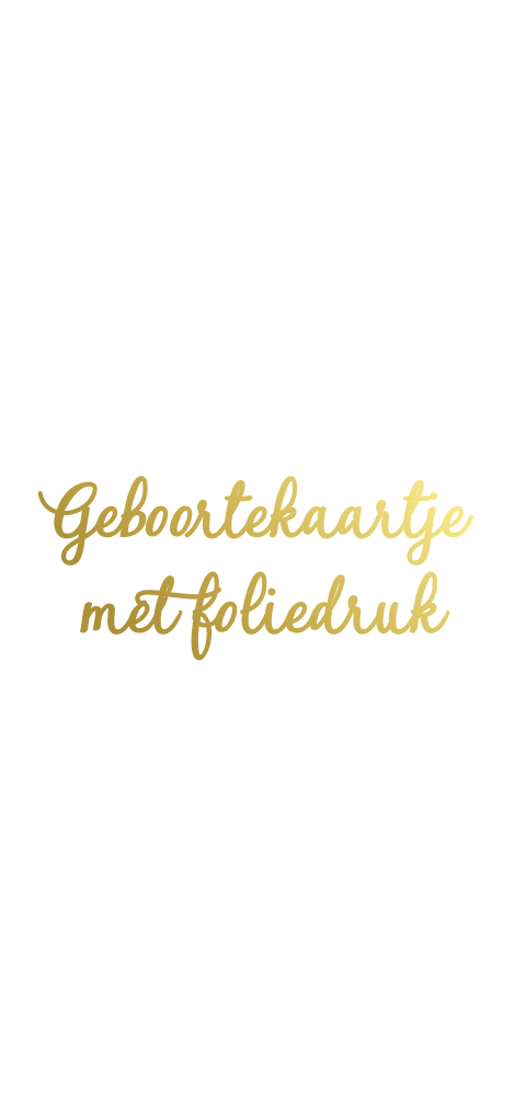 Geboortekaartje  met foliedruk langwerpig