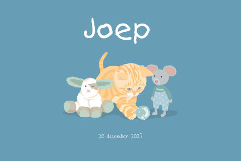 Geboortekaartje jongen met poes en knuffels