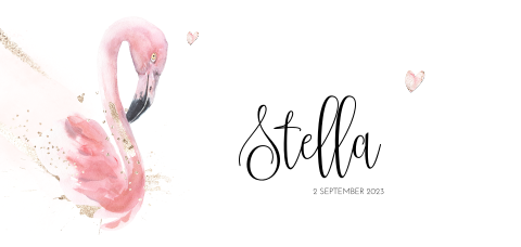 Geboortekaartje meisje met een flamingo en goud glitter