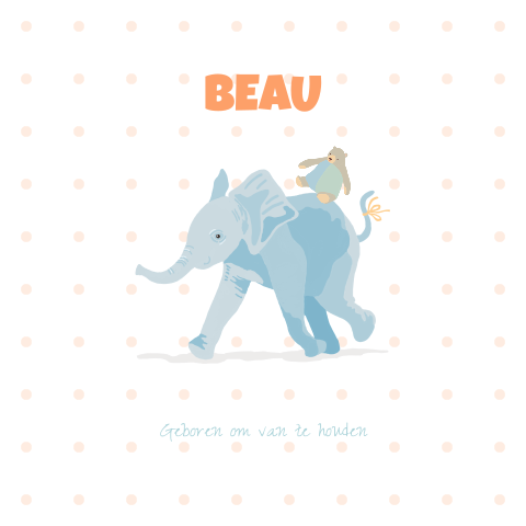 Geboortekaartje voor een jongen of meisje met een olifant