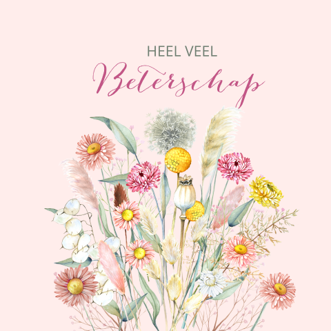Beterschap kaart om te wensen met droogbloemen