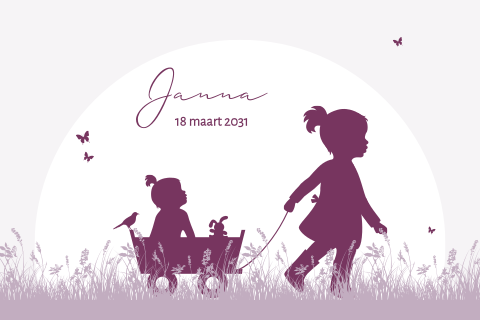 2e kindje geboortekaartje meisje bolderkar met zus