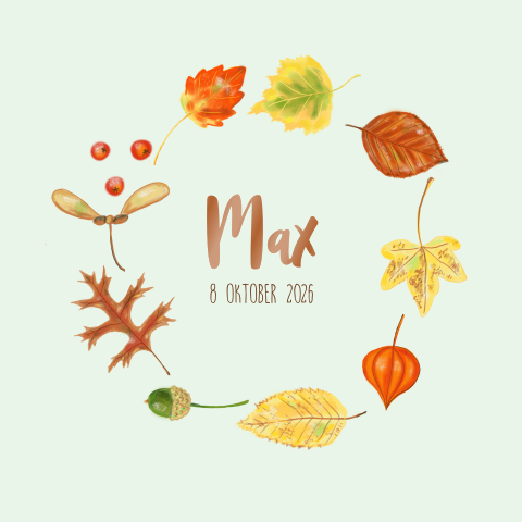 Geboortekaartje jongen herfst thema met herfstbladeren
