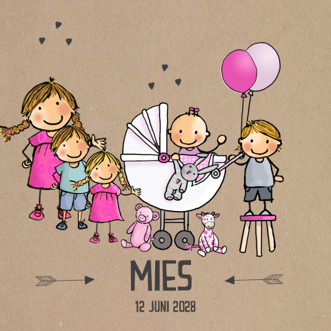 Geboortekaartje kinderwagen vijfde kind broertje en zusje