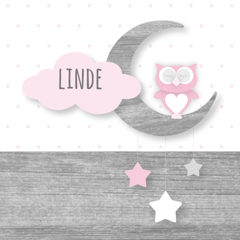 Geboortekaartje meisje uiltje maan wolkje roze 