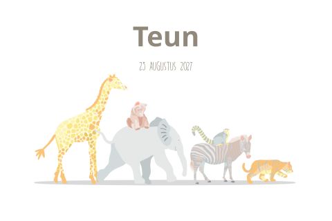 Geboortekaartje jongen met dieren met giraf olifant zebra