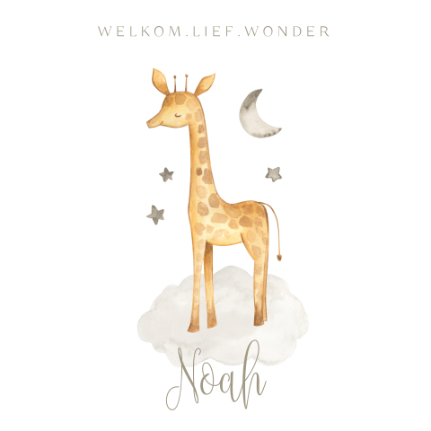 Geboortekaart met giraffe voor een jongen