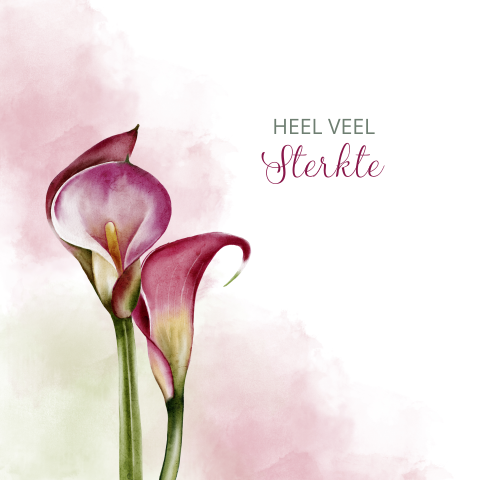 Wenskaart Sterkte Calle lelie