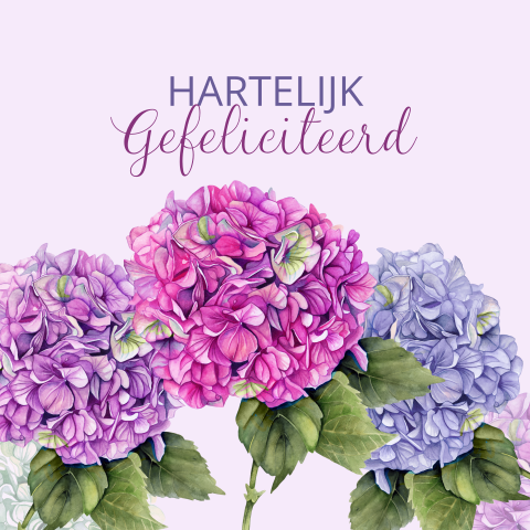 Wenskaart verjaardag hortensiabloemen