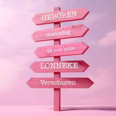 Geboortekaartje houten wegwijzer roze