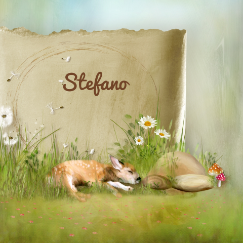 Sprookjes geboortekaartje met bambi in het gras