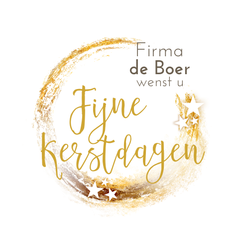 Zakelijk kerstkaart sterren wit goudlook cirkel