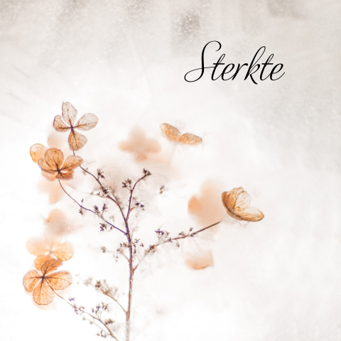 Wenskaart om iemand sterkte te wensen met bloemen