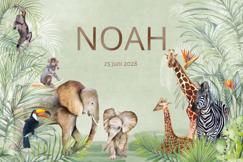 Geboortekaartje neutraal jungle dieren met olifantje giraf zebra 