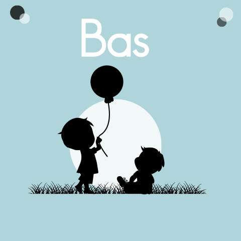Geboortekaartje 2e kindje klein broertje silhouet ballon
