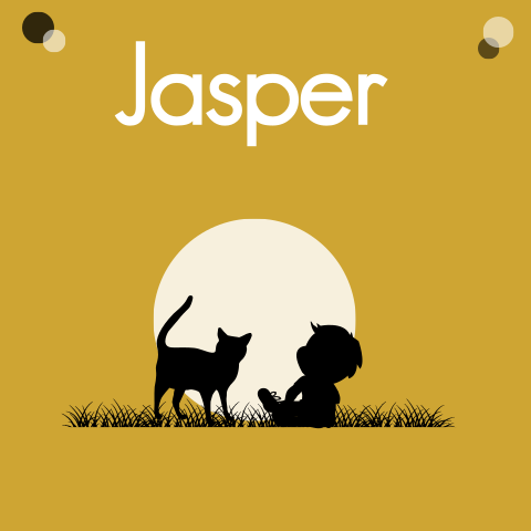 Lief geboortekaartje voor een jongetje met silhouet kat