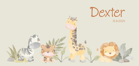 Jongens geboortekaartje met jungle dieren