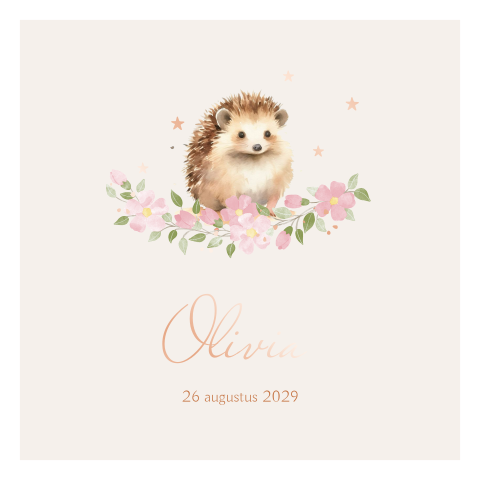 Lief getekend geboortekaartje meisje met egel