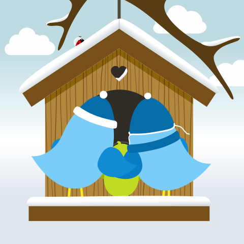 Vogelhuis geboortekaartje jongen en broer in vogelhuisje in sneeuw