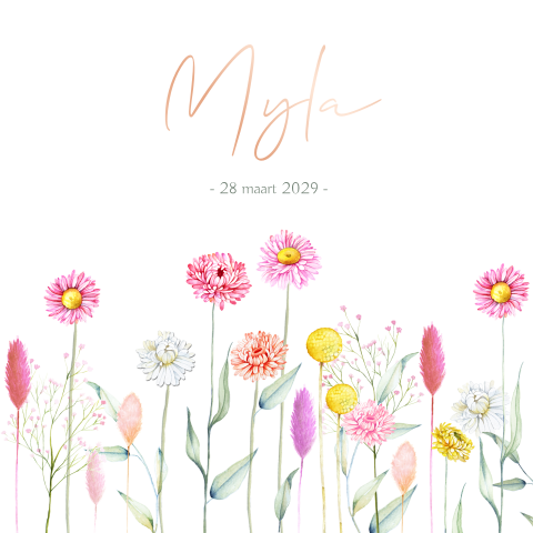 Geboortekaartje bloemen chrysant meisje met rosefolie